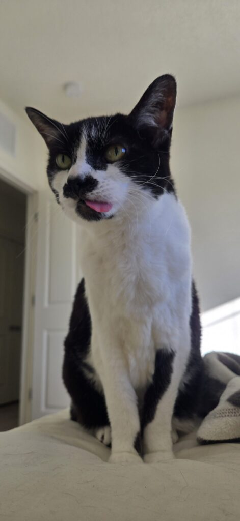 Charlie tongue
