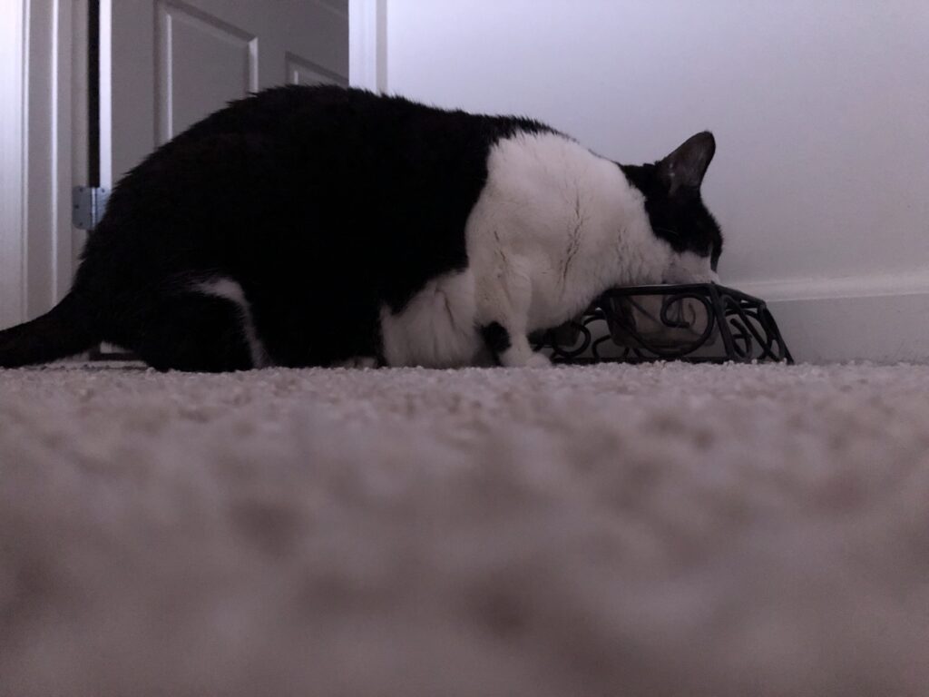 Charlie drinking