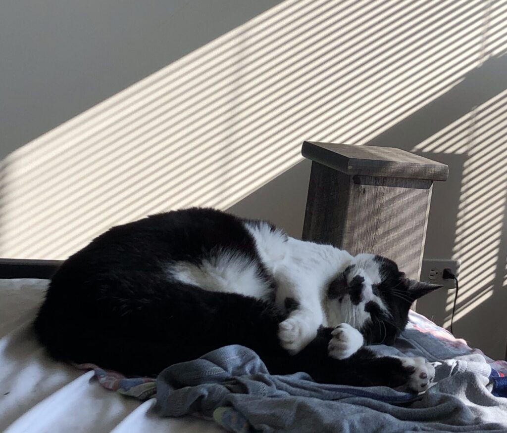 Charlie sleeping